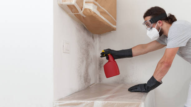 Professional Bathroom Mold Removal technician working in Avenel, NJ